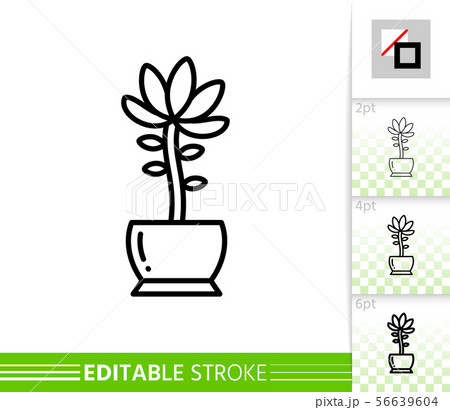 Cactus succulent plant simple line vector icon 56639604