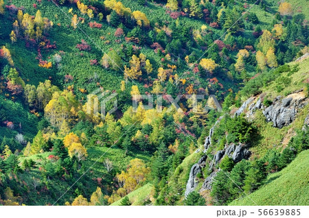 志賀高原 56639885