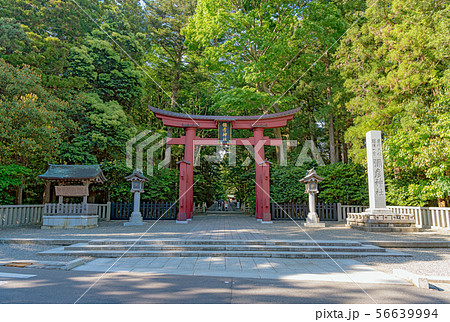 新潟 弥彦神社 一の鳥居 新潟 弥彦神社 一の鳥居 56639994