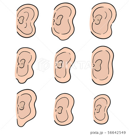 vector set of ear vector set of ear 56642549