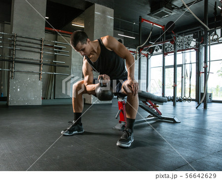 A muscular male athlete doing workout at the gym A muscular male athlete doing workout at the gym 56642629