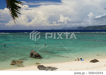 用安海岸 奄美大島 用安海岸 奄美大島 56643045