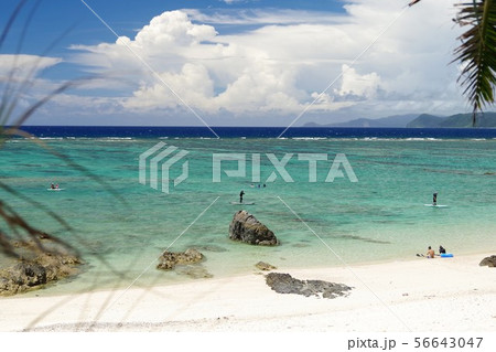 用安海岸 奄美大島 用安海岸 奄美大島 56643047