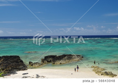 用安海岸　奄美大島 56643048