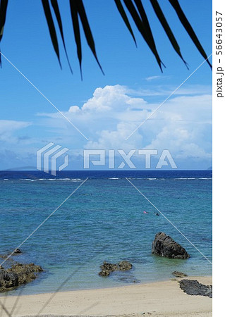 用安海岸　奄美大島 56643057