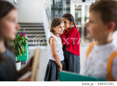 A group of cheerful small school kids in corridor, standing. 56643181