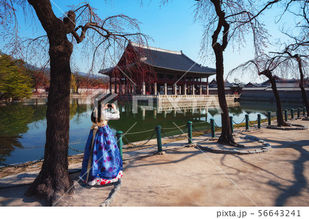 Gyeongbokgung Palace Gyeongbokgung Palace 56643241