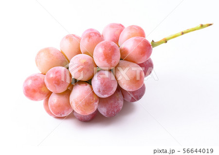 赤ブドウ 赤ブドウ 56644019