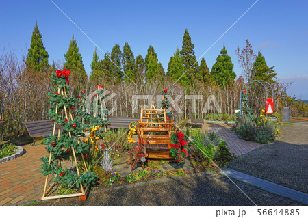 天空のクリスマス 天空のクリスマス 56644885