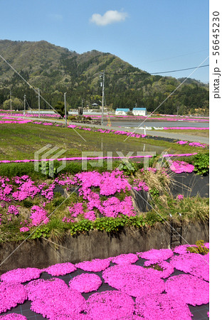 鉄道・JR西日本：越美北線(九頭竜線) 　牛ヶ原駅前風景 56645230