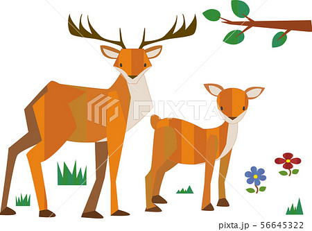 森のどうぶつたち 56645322