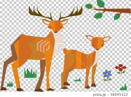 森のどうぶつたち 56645322