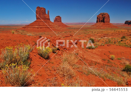 アメリカの大自然 モニュメント・バレー アメリカの大自然 モニュメント・バレー 56645553