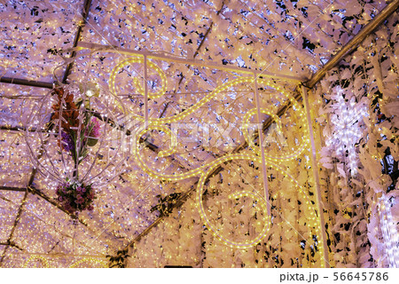 キラキラ　イルミネーション　暖色 56645786