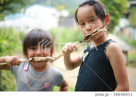鮎の塩焼きを食べる女の子 鮎の塩焼きを食べる女の子 56646051