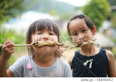 鮎の塩焼きを食べる女の子 鮎の塩焼きを食べる女の子 56646052