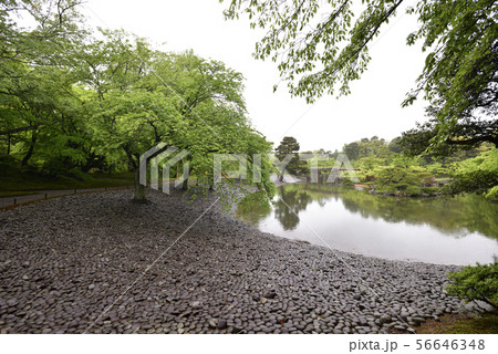 京都仙洞御所 南池の州浜と桜の馬場 京都仙洞御所 南池の州浜と桜の馬場 56646348