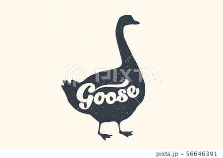 Farm animals set. Isolated goose silhouette and text Goose Farm animals set. Isolated goose silhouette and text Goose 56646391