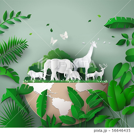 World Wildlife Day 56646435