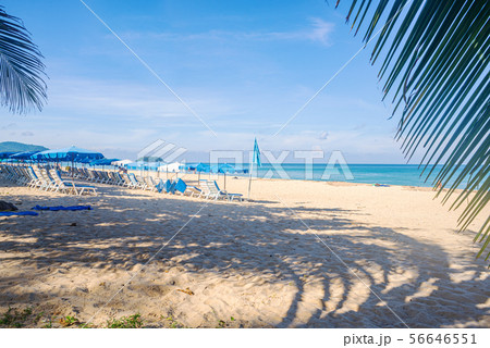 Beach with white sand and blue sea and sky in 56646551