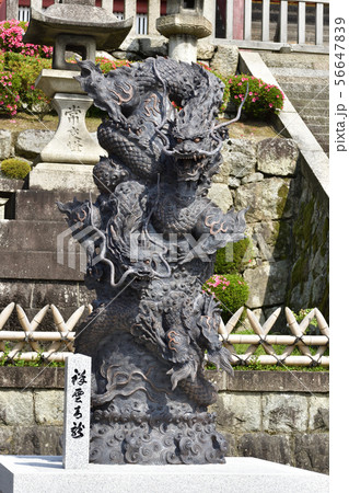 清水寺 浮雲青龍の像 清水寺 浮雲青龍の像 56647839