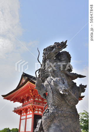 清水寺 浮雲青龍の像 清水寺 浮雲青龍の像 56647848