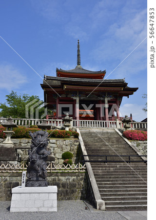 清水寺　浮雲青龍の像 56647853