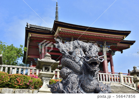 清水寺　浮雲青龍の像 56647856