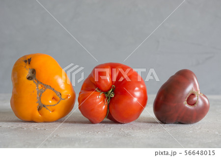 Ugly organic colorful tomatoes on grey. Ugly organic colorful tomatoes on grey. 56648015