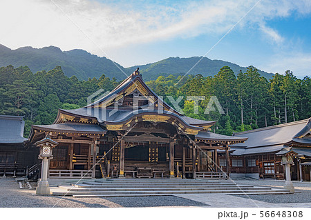 新潟 弥彦神社 拝殿 新潟 弥彦神社 拝殿 56648308