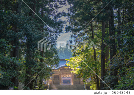 新潟 弥彦神社 随神門と美しい参道 新潟 弥彦神社 随神門と美しい参道 56648543