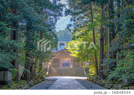 新潟 弥彦神社 随神門と美しい参道 56648544