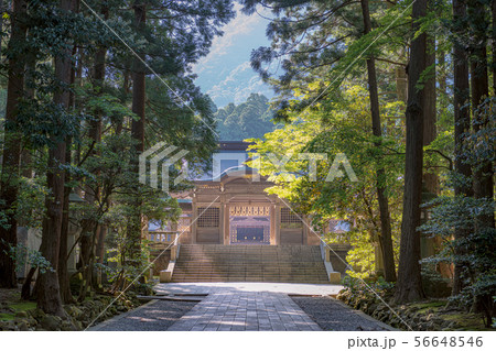 新潟 弥彦神社 随神門と美しい参道 56648546