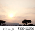 黄昏時の草原 56648850
