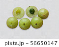 Indian Gooseberry 56650147