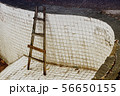 Old wood ladder in the old pool 56650155