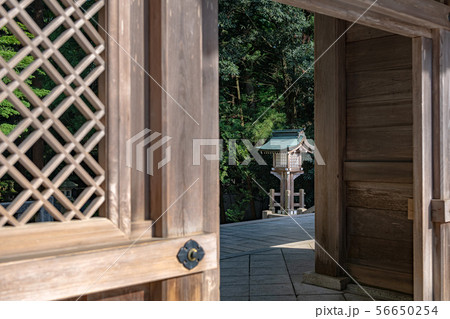 新潟 弥彦神社 境内の石灯籠 56650254