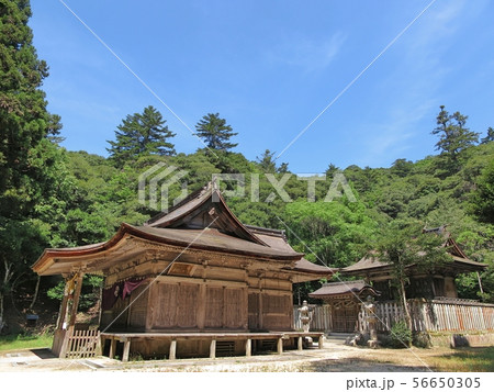 鳥取東照宮(樗谿神社) 56650305