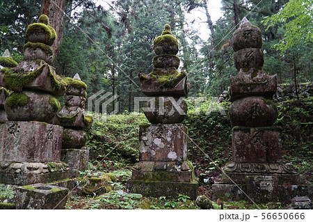 【世界遺産 紀伊山地の霊場と参詣道】高野山奥の院参道の苔むした五輪塔 和歌山県伊都郡高野町 【世界遺産 紀伊山地の霊場と参詣道】高野山奥の院参道の苔むした五輪塔 和歌山県伊都郡高野町 56650666