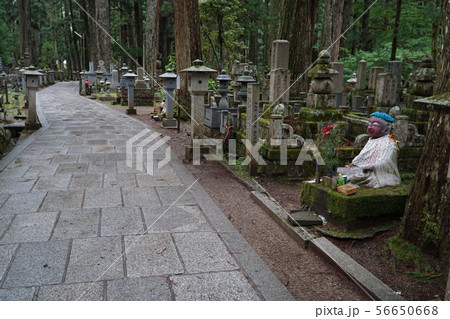 【世界遺産 紀伊山地の霊場と参詣道】高野山 お化粧地蔵と奥の院参道 和歌山県伊都郡高野町 【世界遺産 紀伊山地の霊場と参詣道】高野山 お化粧地蔵と奥の院参道 和歌山県伊都郡高野町 56650668