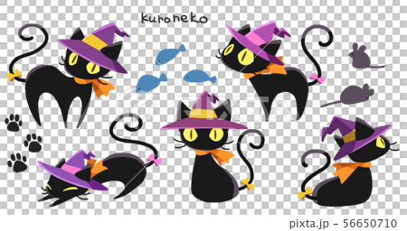 Black cat 4 (solid) Black cat 4 (solid) 56650710