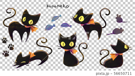 Black cat 5 (texture) Black cat 5 (texture) 56650711