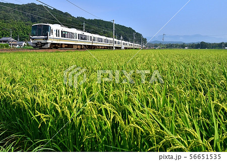 鉄道 列車 山陰本線 京都口 221系 普通 千代川~八木 田んぼ 田園 JR西日本 嵯峨野線 夏 鉄道 列車 山陰本線 京都口 221系 普通 千代川~八木 田んぼ 田園 JR西日本 嵯峨野線 夏 56651535