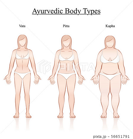Female Body Ayurvedic Body Constitution Types 56651791