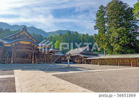 新潟 弥彦神社 拝殿 56651869