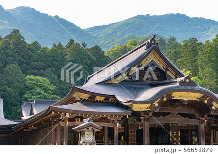 新潟 弥彦神社 拝殿 56651879