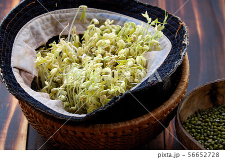 Homemade bean sprouts, germinate of green beans Homemade bean sprouts, germinate of green beans 56652728