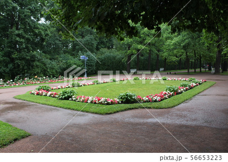 Old, Catherine Park in St. Petersburg. Russia Old, Catherine Park in St. Petersburg. Russia 56653223