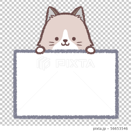 Ragdoll information board 56653546