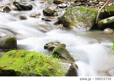 静と動 静と動 56653739